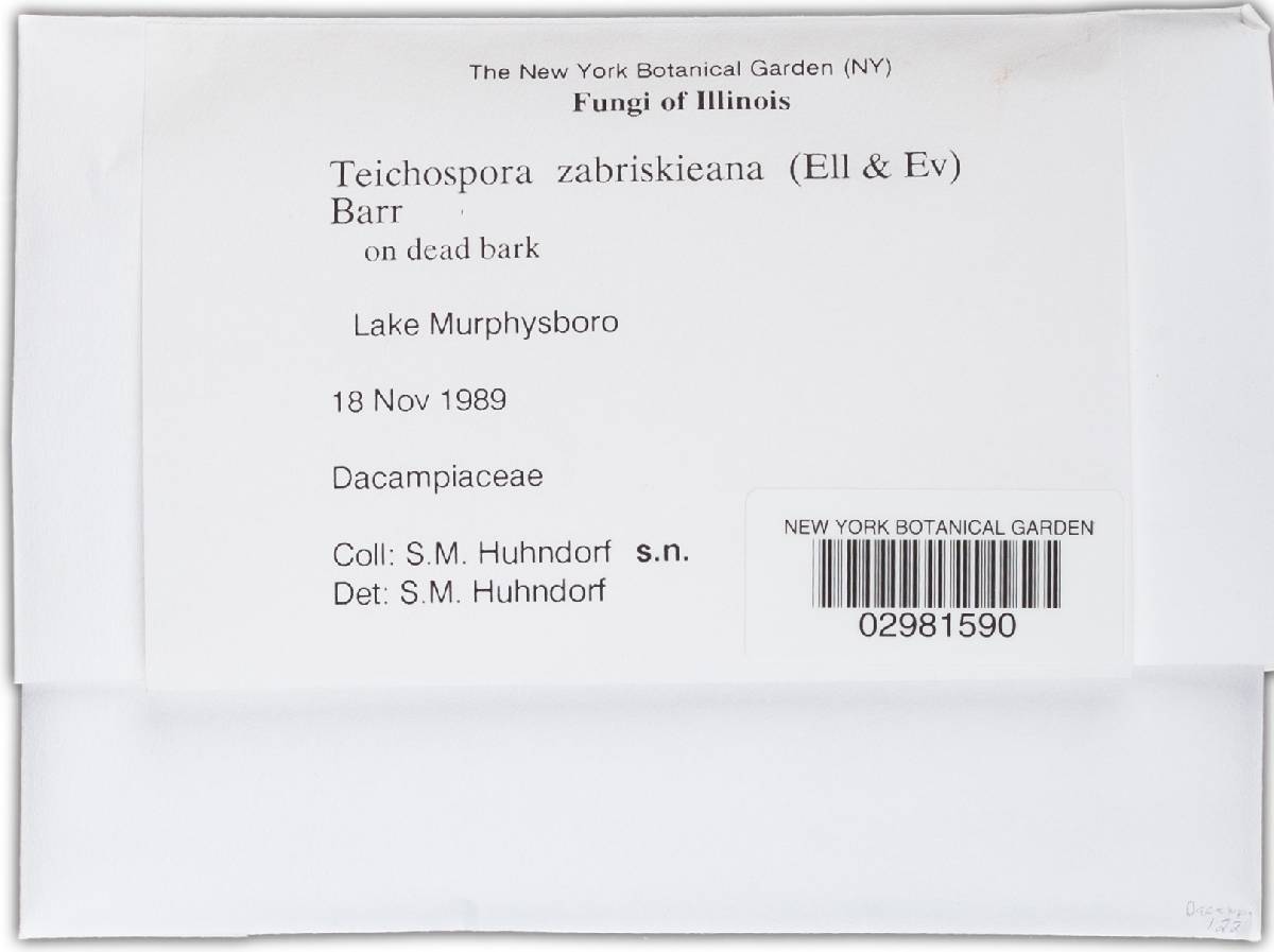 Teichospora zabriskieana image