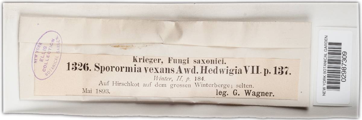 Sporormia vexans image