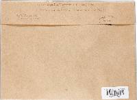 Gymnosporangium libocedri image