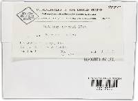 Ustilago crameri image