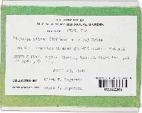 Diatrype stigma image