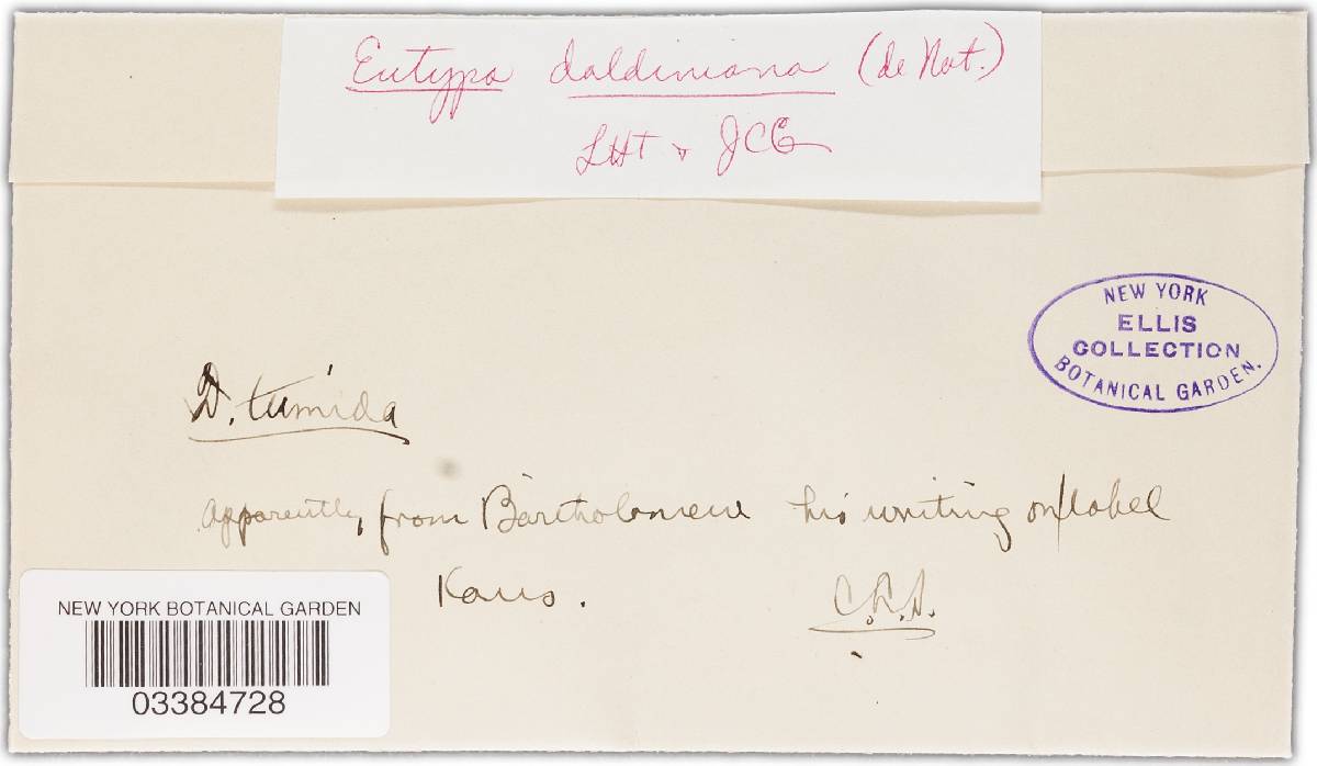 Eutypa daldiniana image