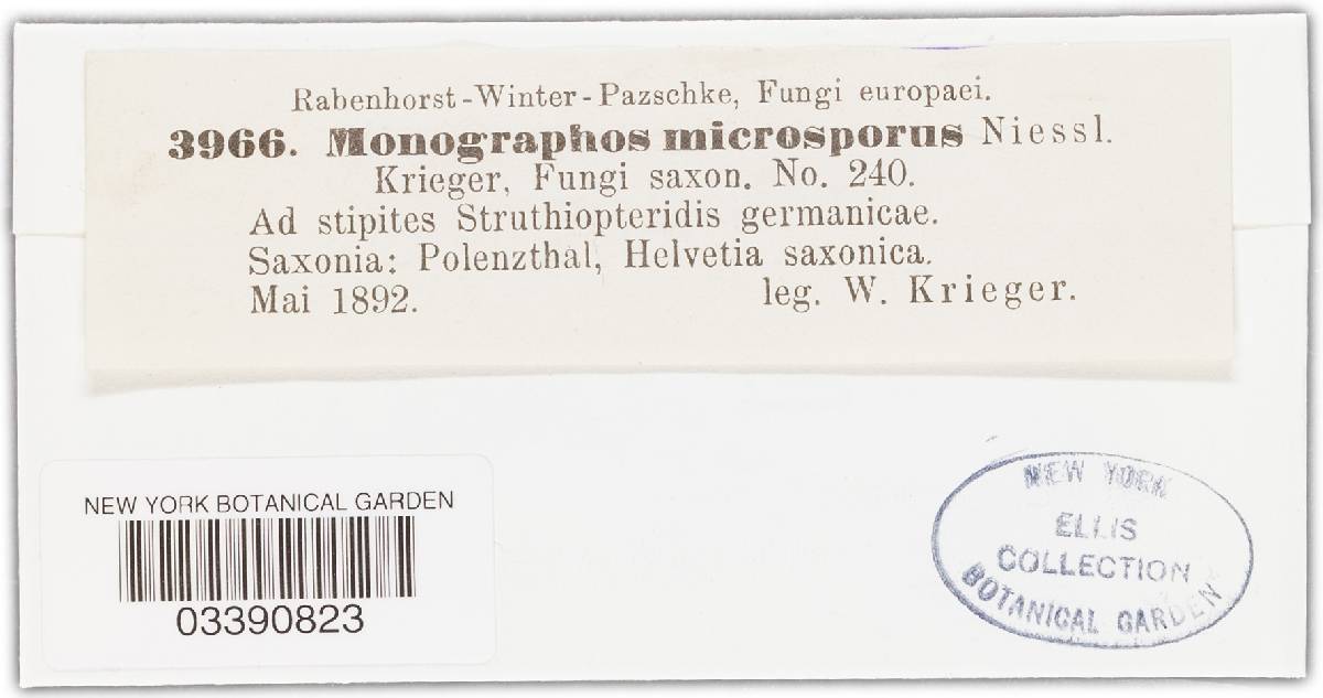 Scirrhia microspora image