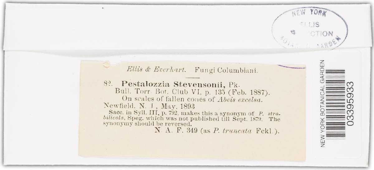 Pestalotia stevensonii image