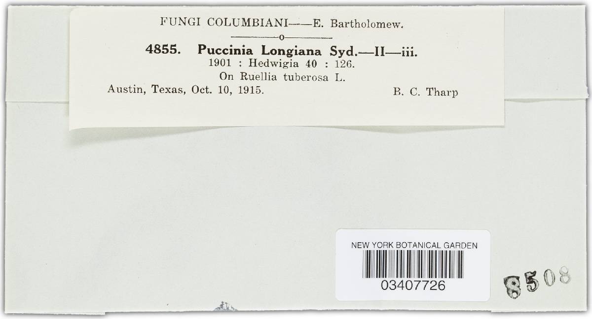 Puccinia longiana image