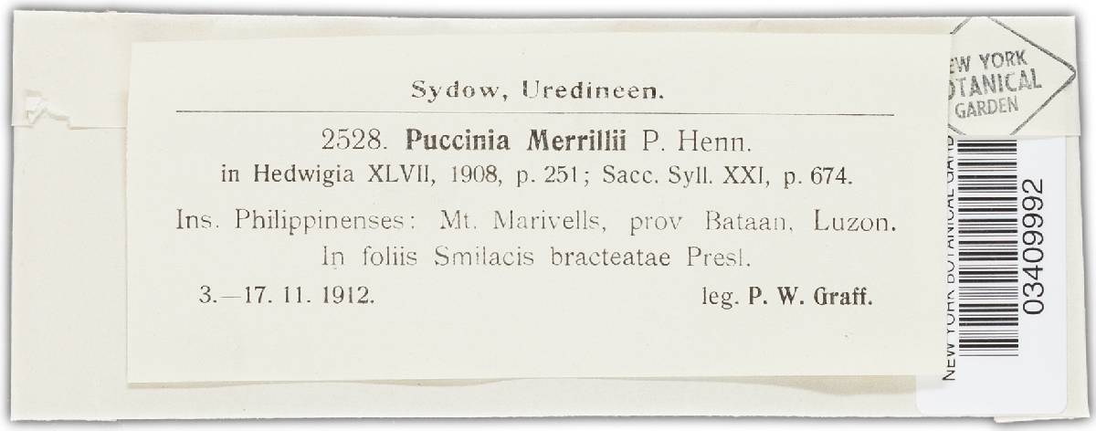 Puccinia merrillii image