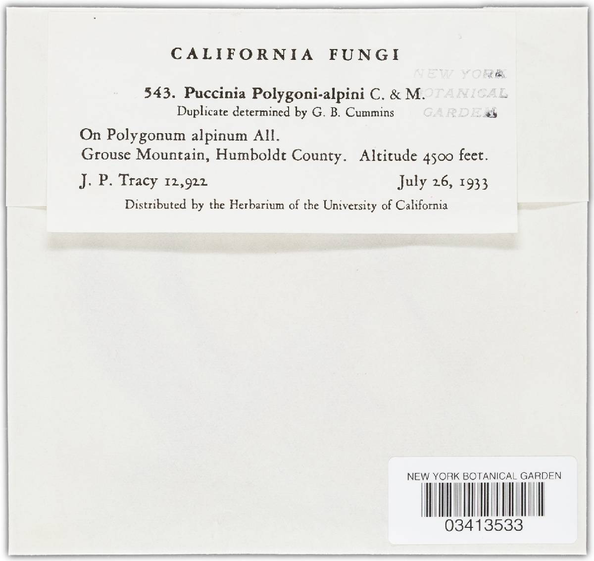 Puccinia polygoni-alpini image