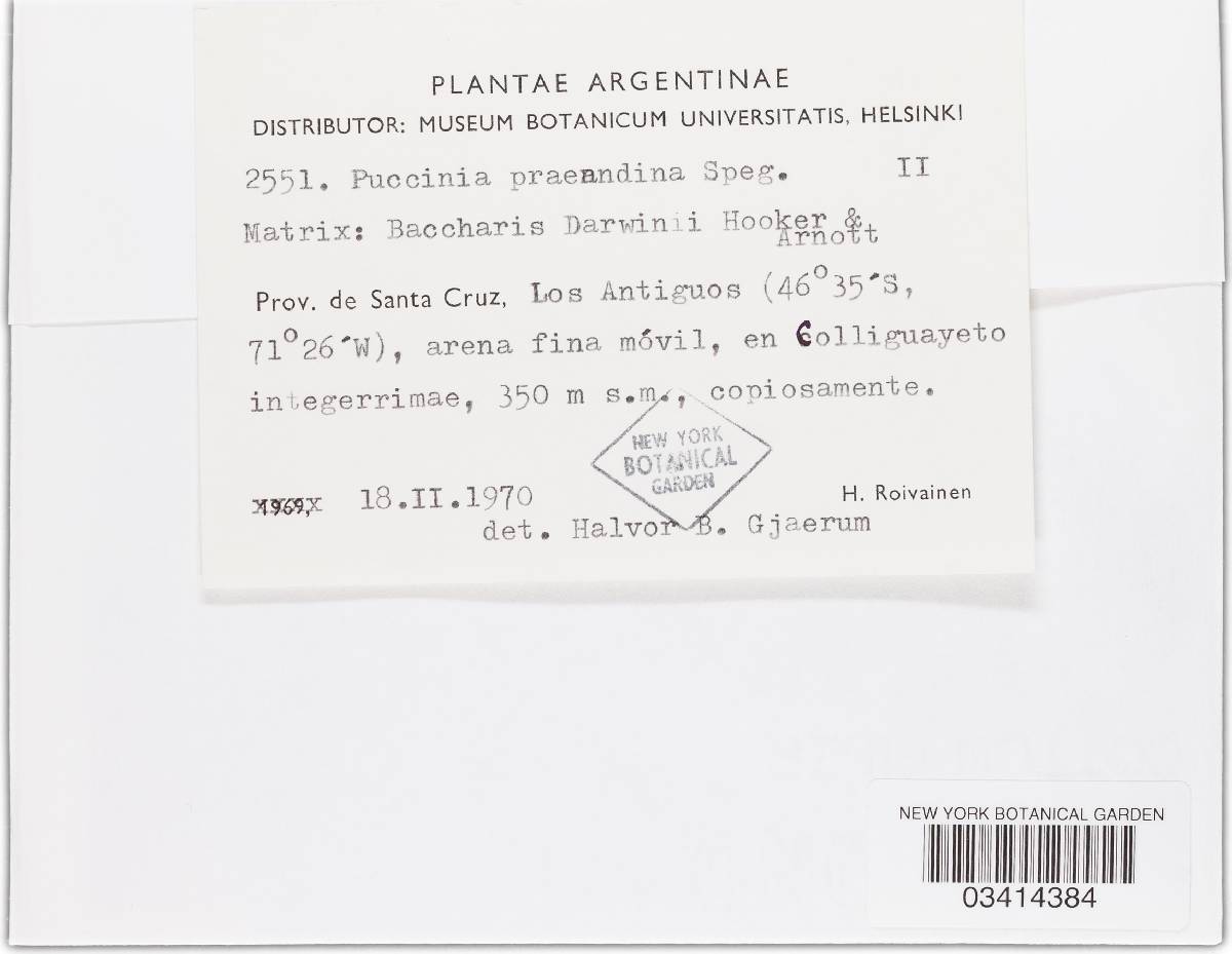 Puccinia praeandina image