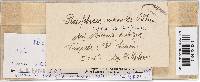 Phaeofabraea miconiae image