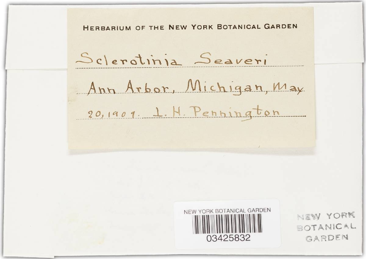 Monilinia seaveri image