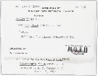 Rutstroemia firma image