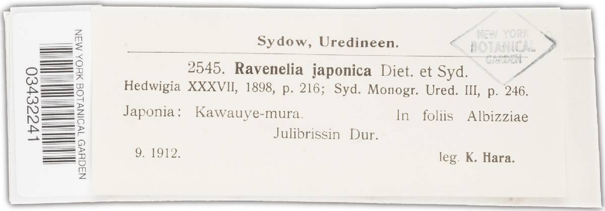 Ravenelia japonica image