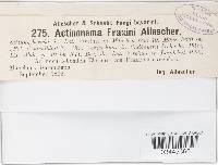 Actinonema fraxini image