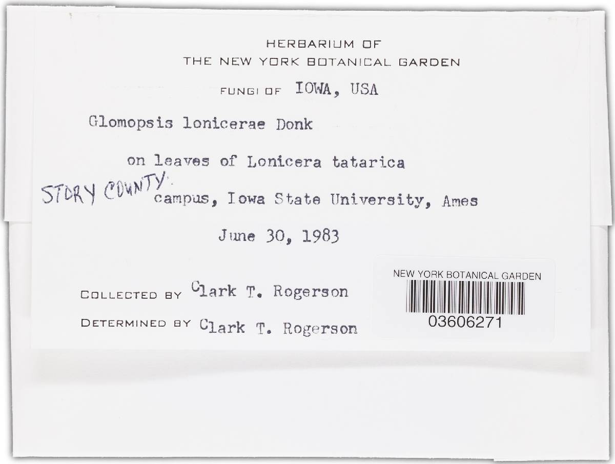 Glomerularia lonicerae image