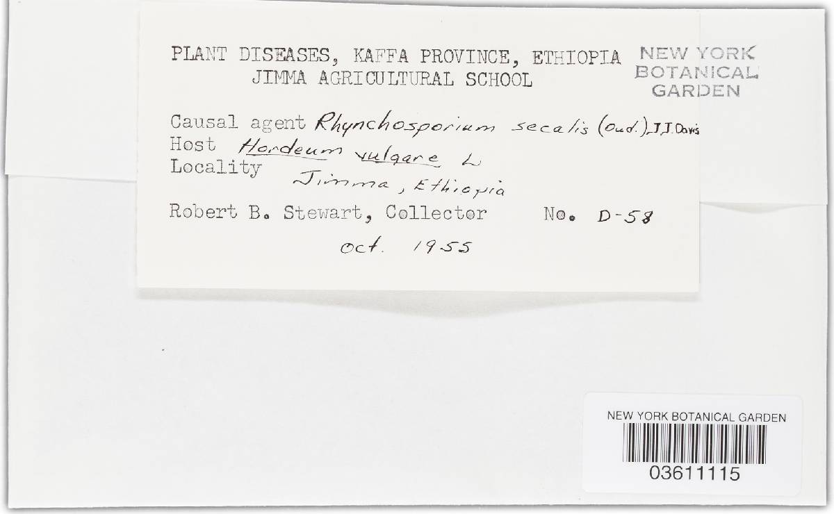 Rhynchosporium secalis image