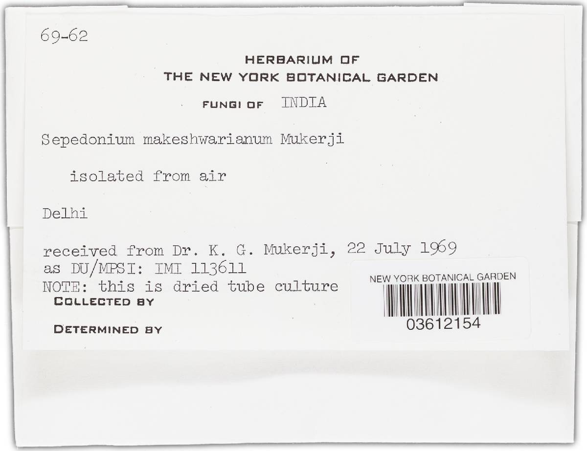 Sepedonium maheshwarianum image
