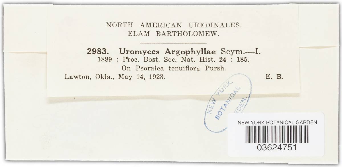 Uromyces psoraleae var. argophyllae image