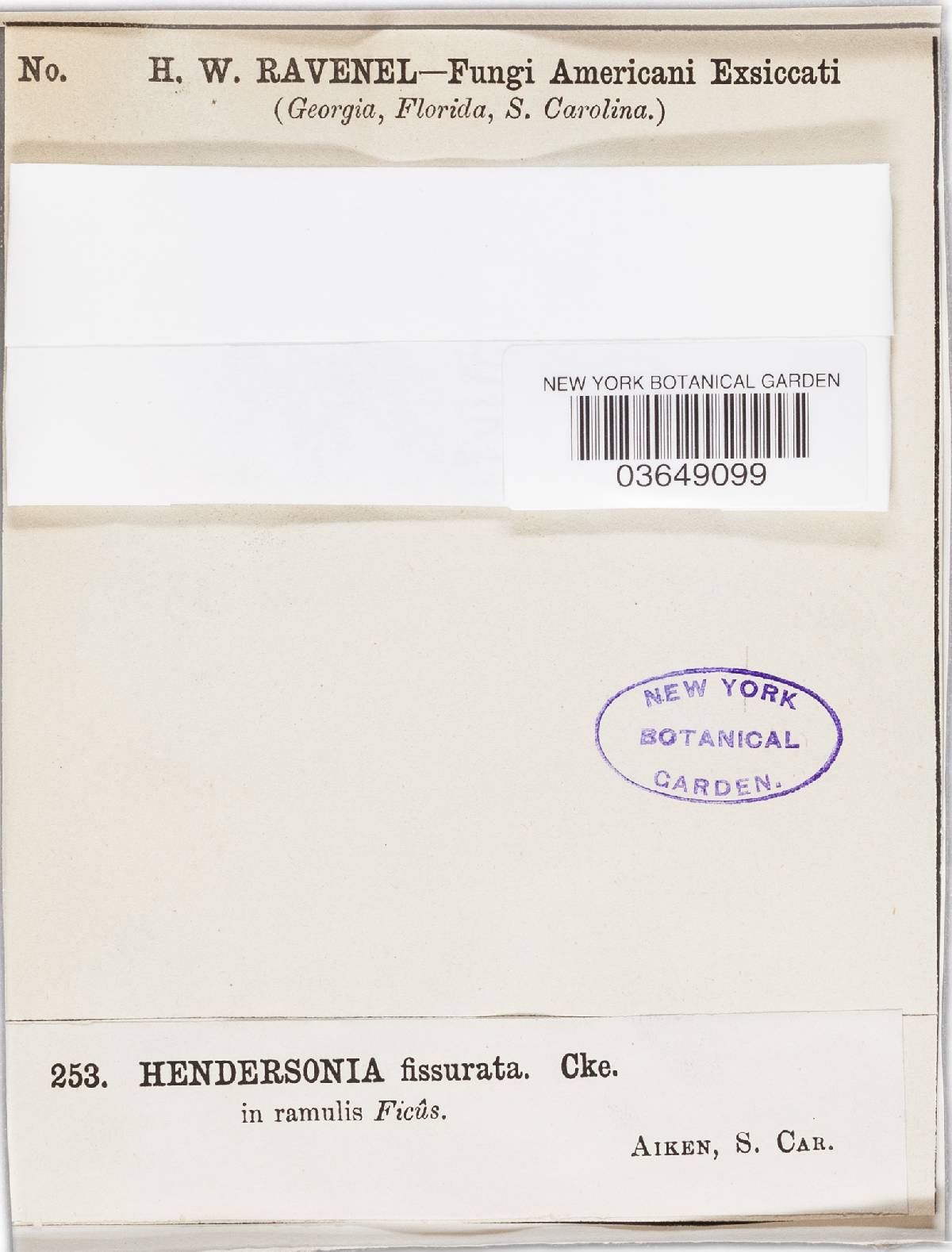 Hendersonia fissurata image