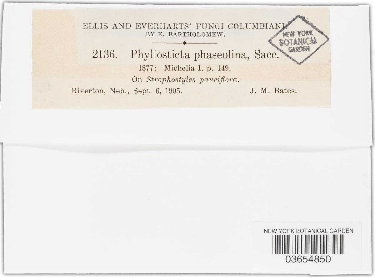 Phyllosticta phaseolina image