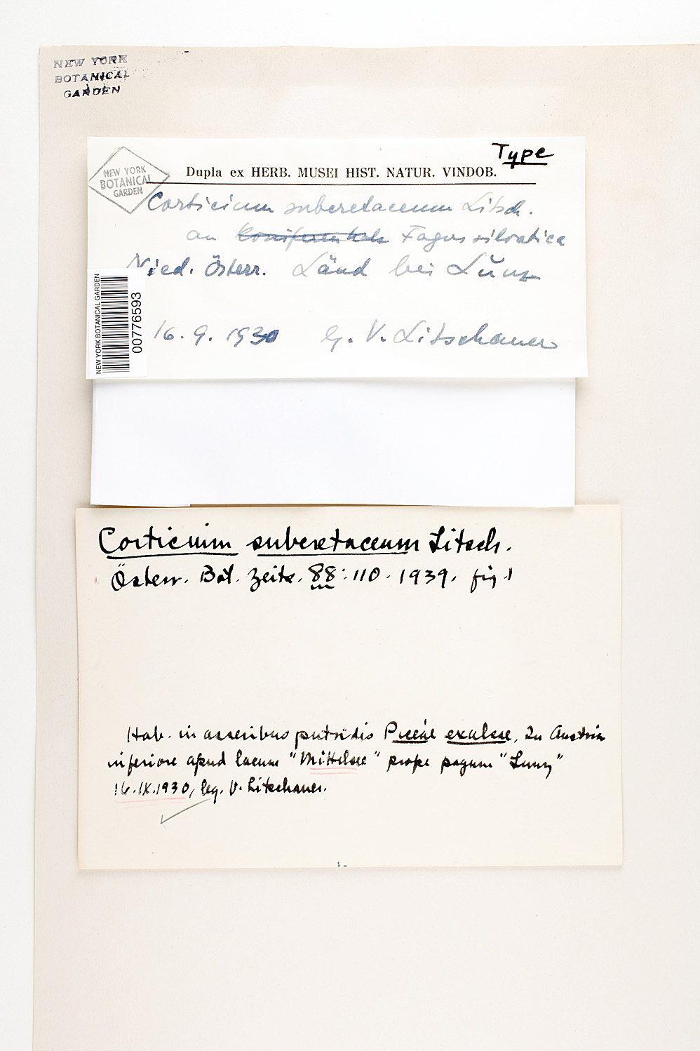 Cabalodontia subcretacea image