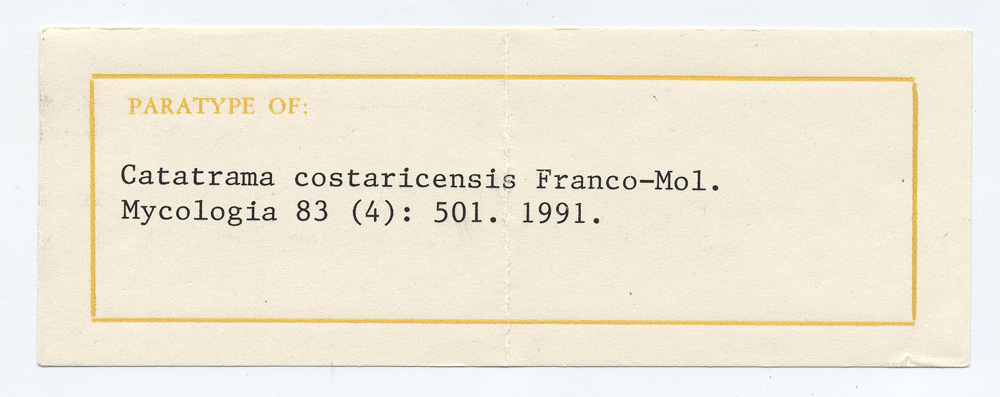 Catatrama costaricensis image