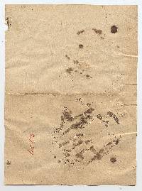 Melanoleuca earleae image