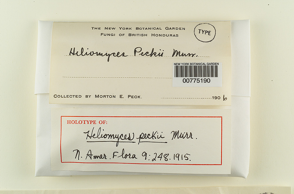 Heliomyces peckii image