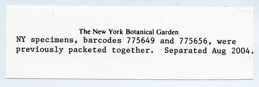Inocybe tomentosa image