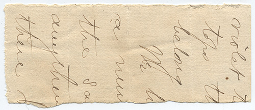 Leptonia transformata image