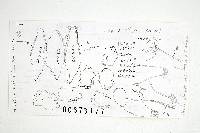 Inocybe variabillima image