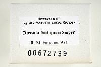 Russula font-queri image