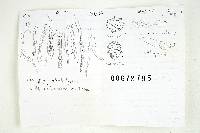 Russula font-queri image