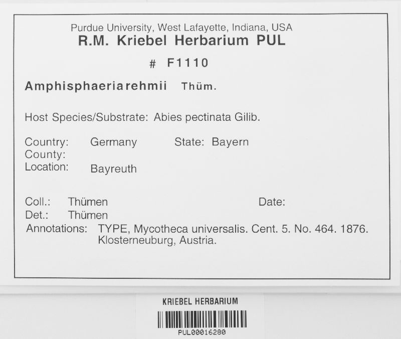 Amphisphaeria rehmii image