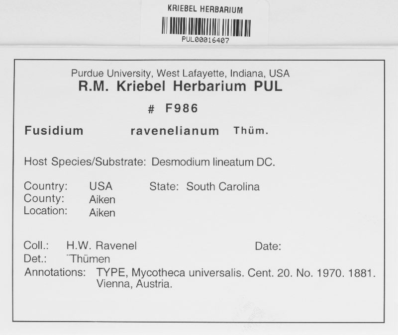 Fusidium ravenelianum image