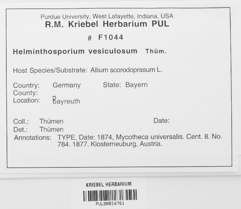 Helminthosporium vesiculosum image