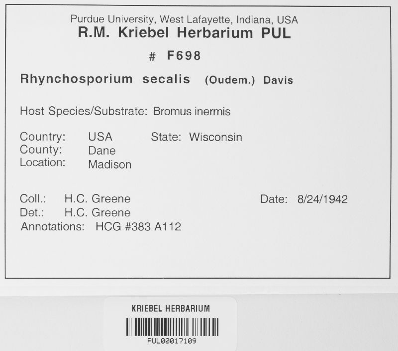 Rhynchosporium image