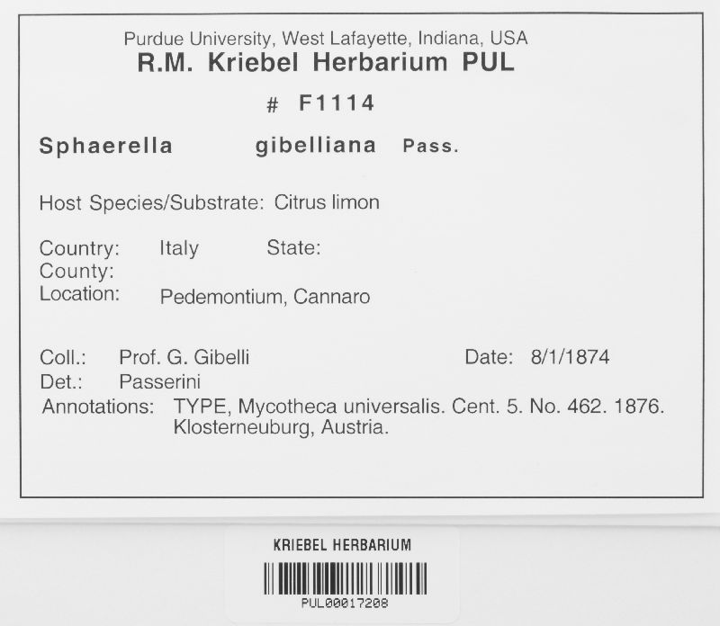 Sphaerella gibelliana image