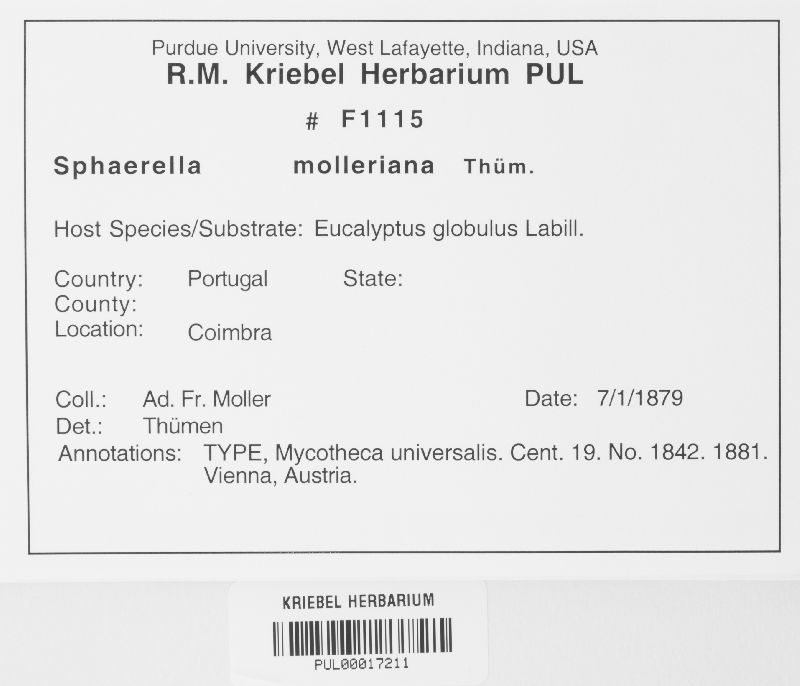 Mycosphaerella molleriana image