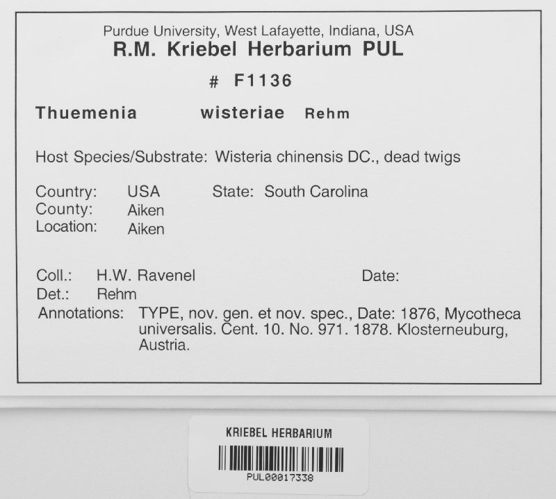 Thuemenia wisteriae image