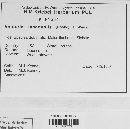 Venturia inaequalis image