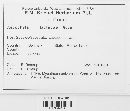 Diplodina lactucae image