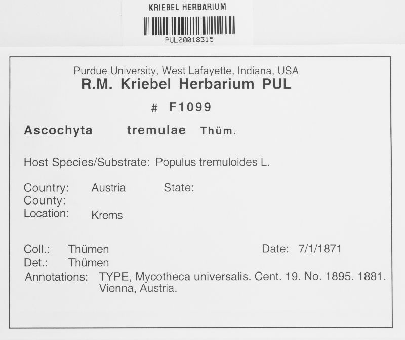Ascochyta tremulae image