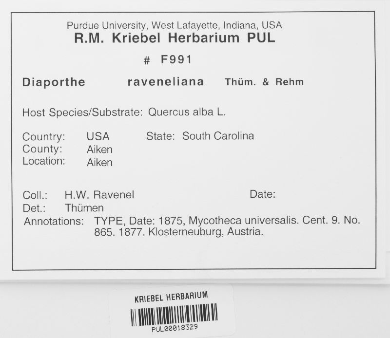 Amphiporthe raveneliana image
