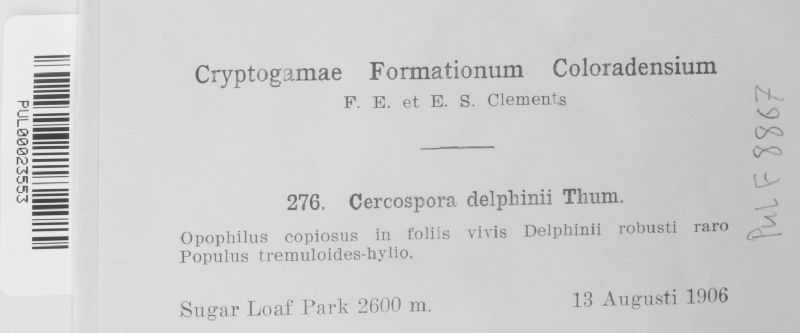 Cercospora delphinii image