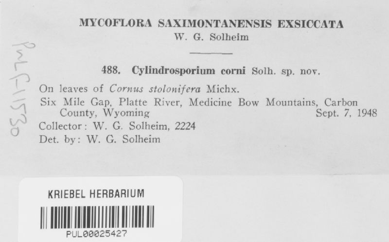 Cylindrosporium corni image