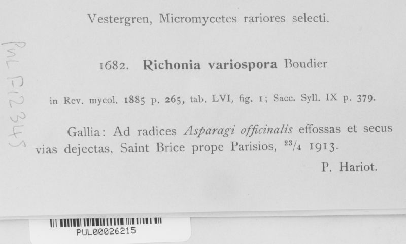 Richonia variospora image