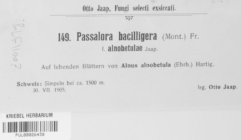 Passalora bacilligera image