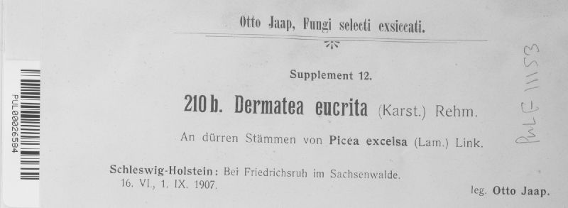 Pezicula eucrita image