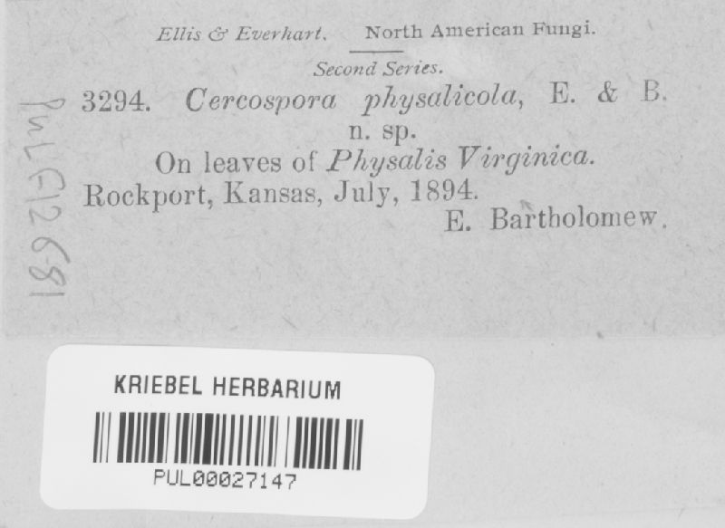 Cercospora physalicola image
