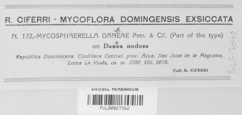 Mycosphaerella danaeae image